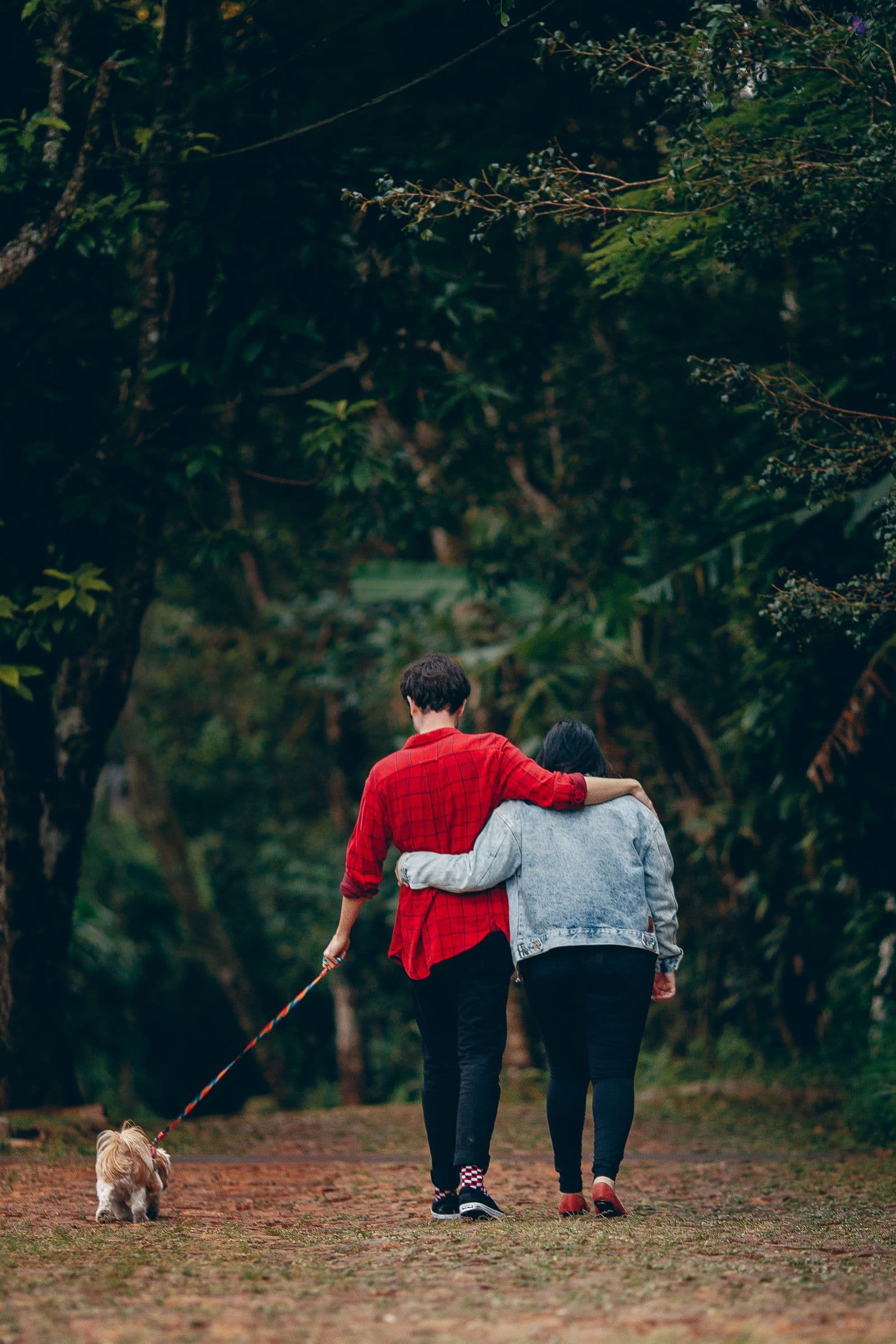 An older couple walking arm in arm along a tree-lined path